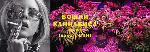прущая мука Инсар