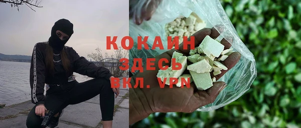 apvp Каменка