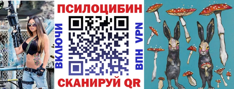 купить  сайты  Ковдор  Псилоцибиновые грибы ЛСД 