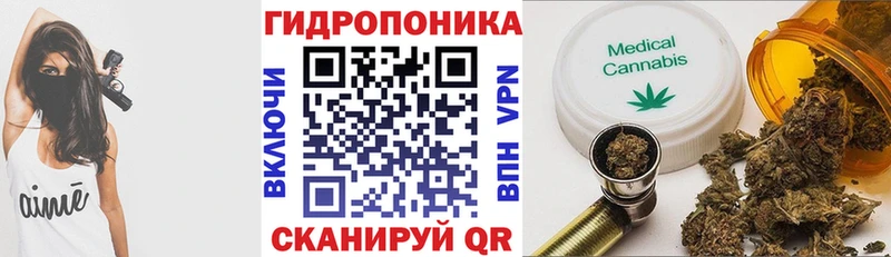 Марихуана White Widow  наркота  Ковдор 